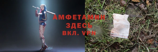 ГАЛЛЮЦИНОГЕННЫЕ ГРИБЫ Аркадак