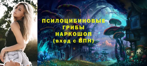 spice Алексин