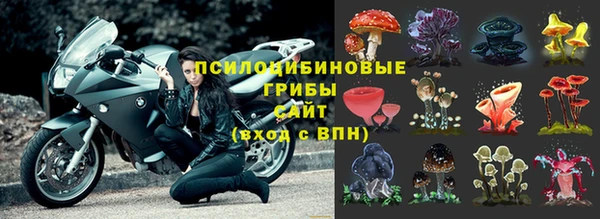бутират Арсеньев