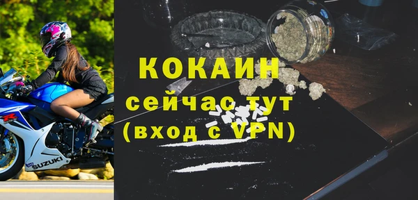 spice Алексин