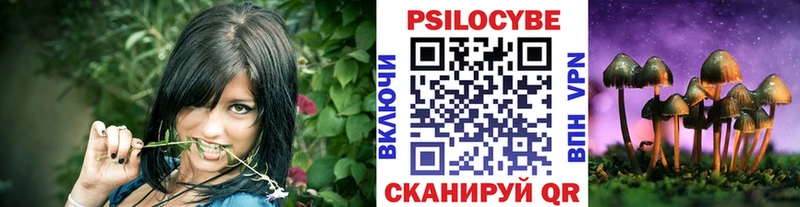 Галлюциногенные грибы Psilocybine cubensis  Можга 