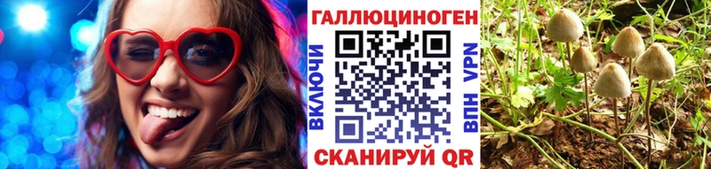 Псилоцибиновые грибы Psilocybe Можга