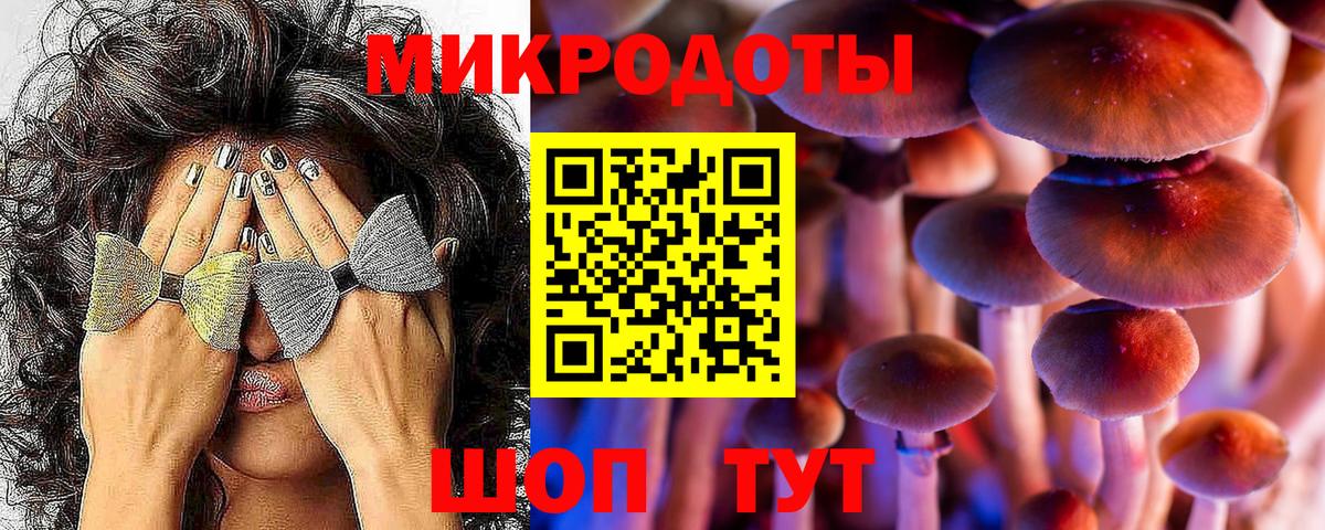 Псилоцибиновые грибы мицелий Можга